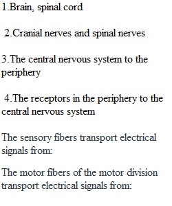 Homework Ch 11 part 1